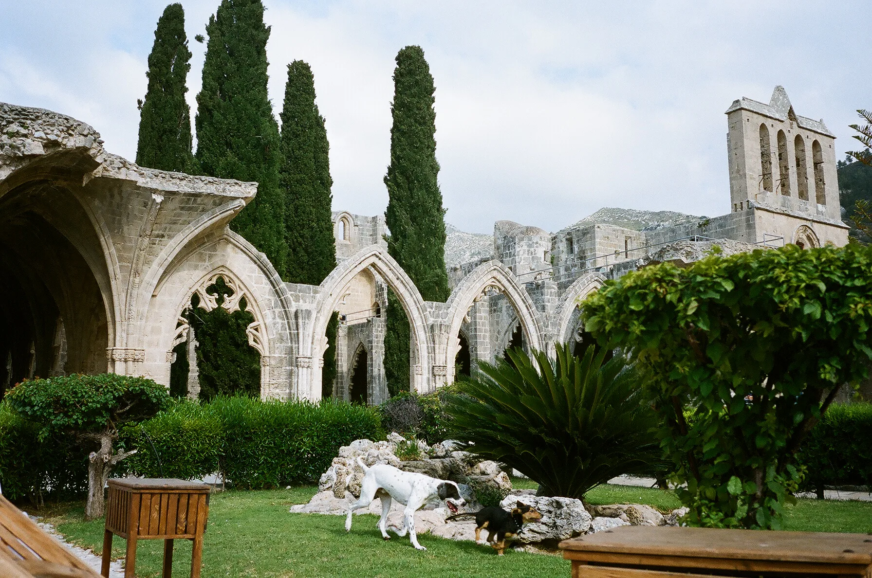 Bellapais Manastırı