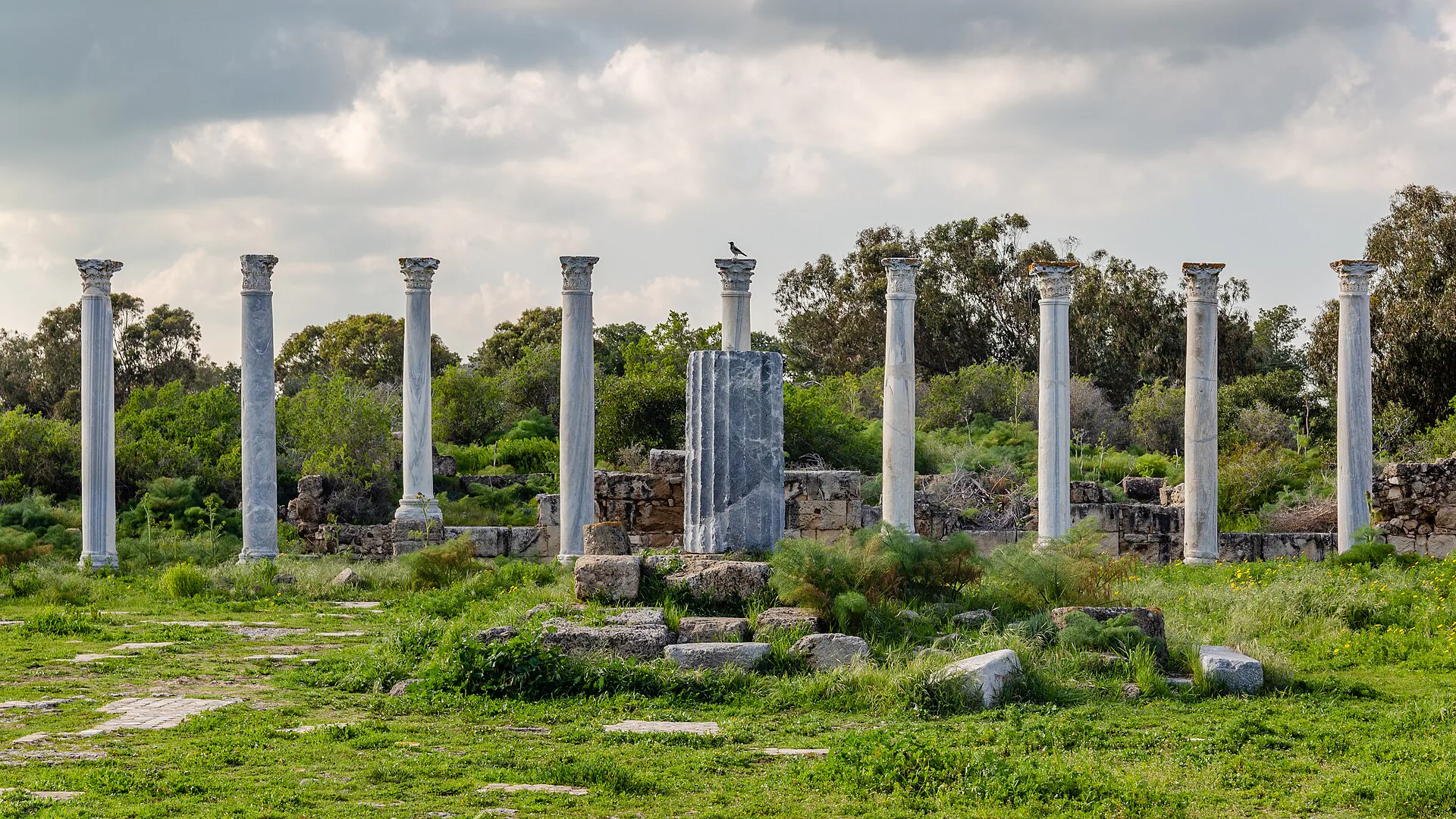 Salamis Harabeleri